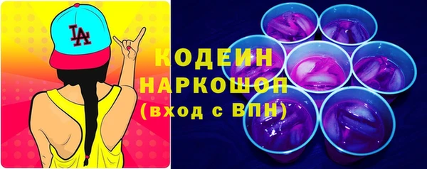 крисы Новозыбков