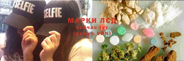 шишки Новокубанск