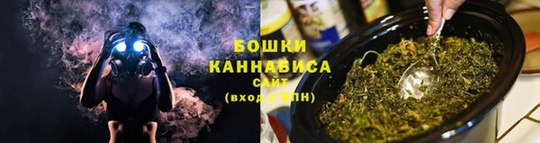 шишки Новокубанск