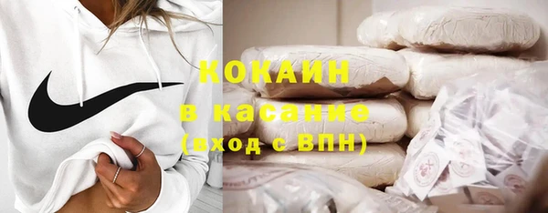 твердый Новодвинск