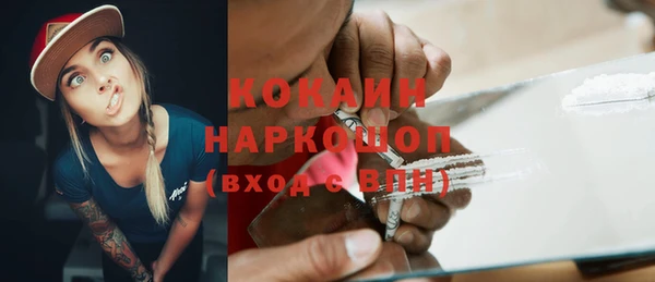 шишки Новокубанск