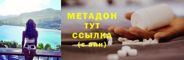индика Осинники