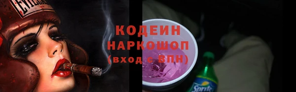 крисы Новозыбков