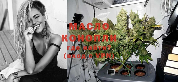 крисы Новозыбков