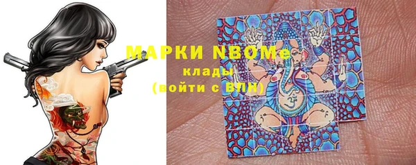шишки Новокубанск