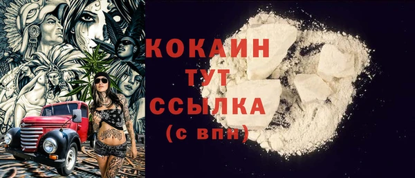 крисы Новозыбков