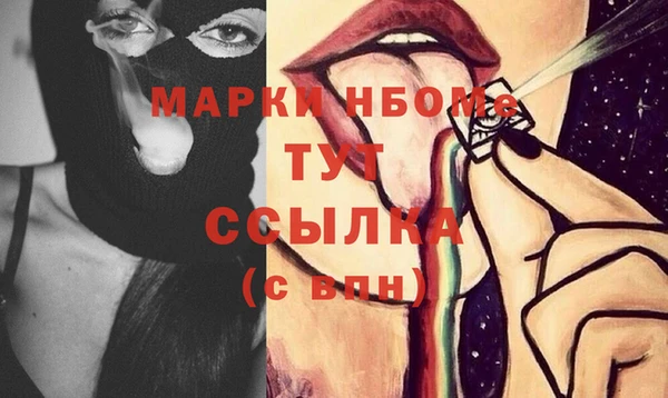 твердый Новодвинск