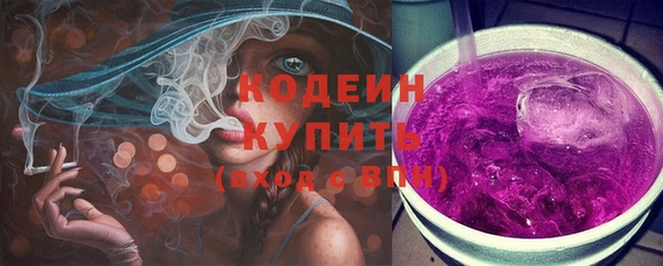 крисы Новозыбков