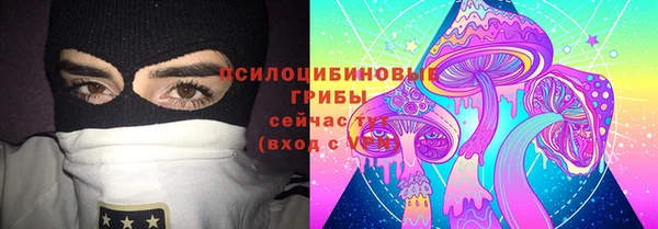 твердый Новодвинск
