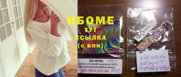 твердый Новодвинск