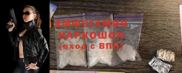 крисы Новозыбков
