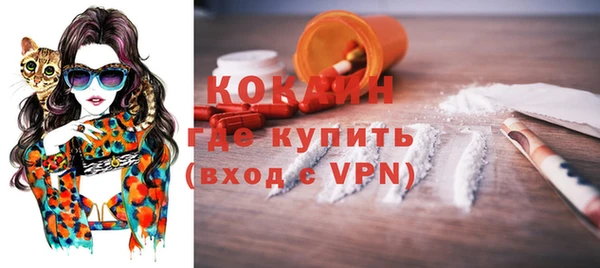 крисы Новозыбков