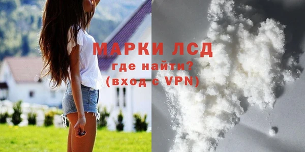 крисы Новозыбков